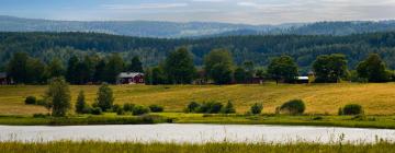 Cabañas en Torsby