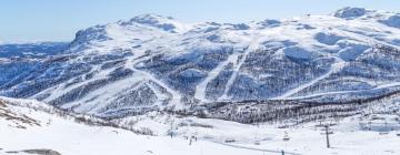 Cottages in Hemsedal