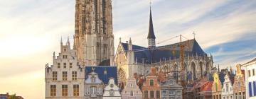 Bed and breakfasts en Mechelen