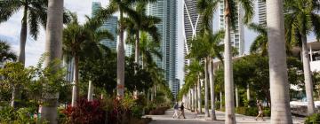 Alquileres vacacionales en Miami