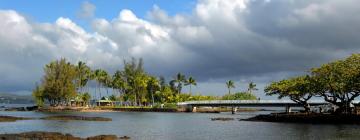 Bed & Breakfasts in Hilo