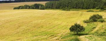 Hotely s parkovaním v destinácii Vyškov