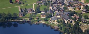 Cottages in Bad Aussee