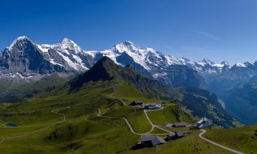 Cases de muntanya a Grindelwald