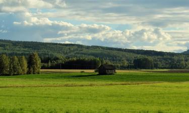 Hotels with Parking in Insjön