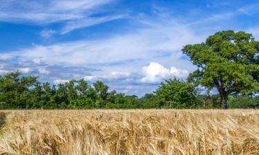 Bed and breakfasts en Hurstpierpoint