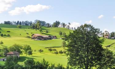 Bed and breakfasts en Goldau