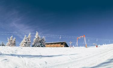 Hotel di Dragobrat