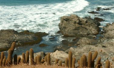 Hoteles de playa en Pichilemu