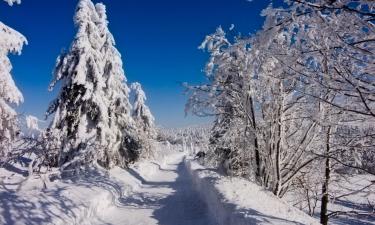 Гостевые дома в городе Кашперске-Гори