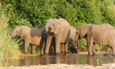 Хижи в Karongwe Game Reserve