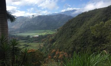 Paraíso'daki evcil hayvan dostu oteller