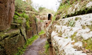 Bed & breakfast-steder i Cerveteri