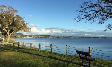 Boenden vid stranden i Taupo