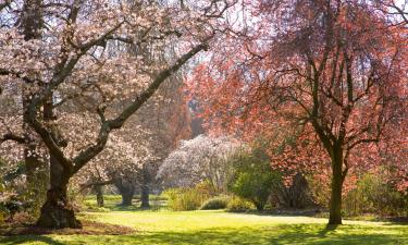 Casas rústicas em Christchurch