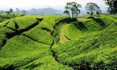 Khách sạn ở Bandung