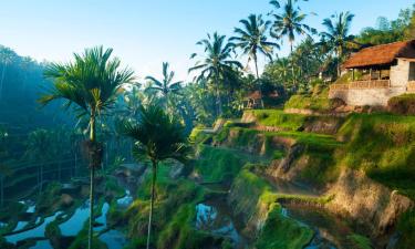 Nhà Nghỉ Dưỡng ở Ubud