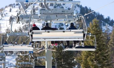 Hôtels acceptant les animaux domestiques à Mammoth Lakes