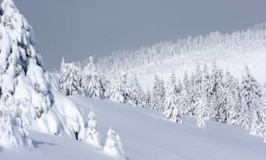 Rumah liburan di Kopaonik