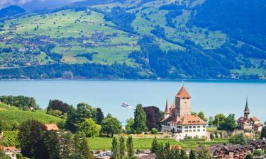 Hotels mit Pools in Spiez