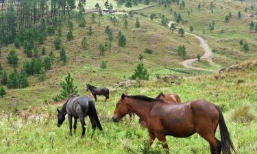 Povoljni hoteli u gradu 'Río Cuarto'