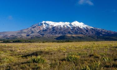 Hotéis em National Park