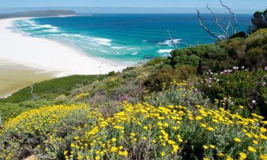 Mga Guest House sa Noordhoek