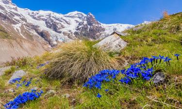 Hotels in Gressoney-la-Trinité