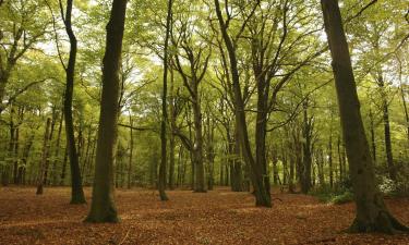 Parkolóval rendelkező hotelek Veldenben