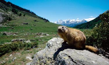 Cheap vacations in Modane