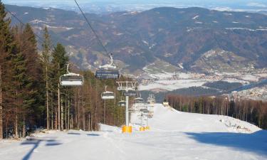 Hotellid sihtkohas Hočko Pohorje