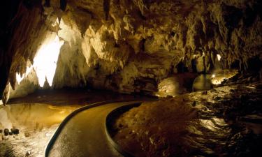 Aluguéis de Temporada em Cavernas de Waitomo