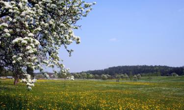 Апартаменти у місті Беблінген