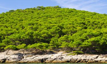 Chaty v destinácii Biograd na Moru