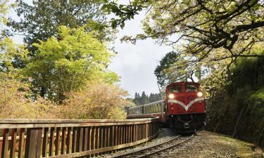 Hotels a Alishan