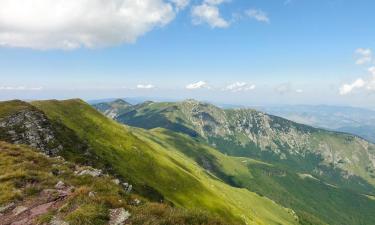 Hoteli u kojima su ljubimci dozvoljeni u gradu 'Crni Vrh'