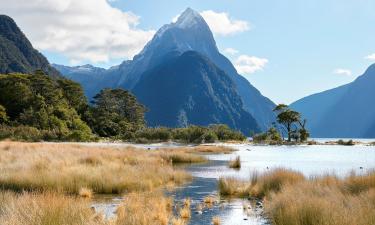 Glampingplatser i Milford Sound