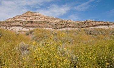 Hotell med parkering i Drumheller