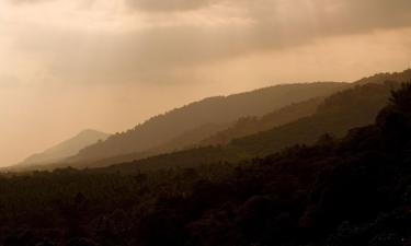 Séjours chez l'habitant à Yercaud