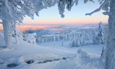 Ruka şehrindeki oteller