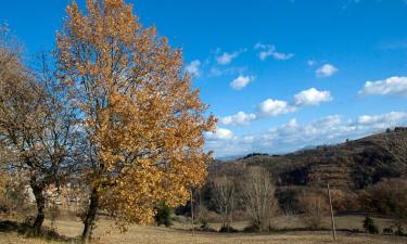 Bed & breakfast σε Castel del Piano