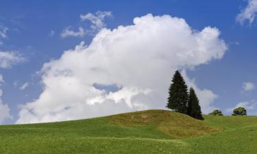 Căn hộ ở Wald im Pinzgau