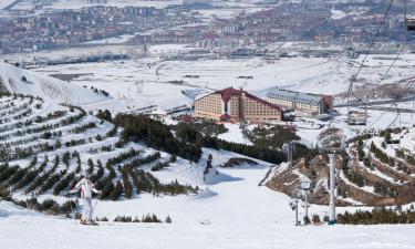 Vacances à Erzurum à petit prix