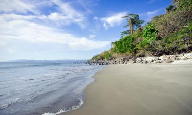 Hôtels près de la Plage à Esterillos