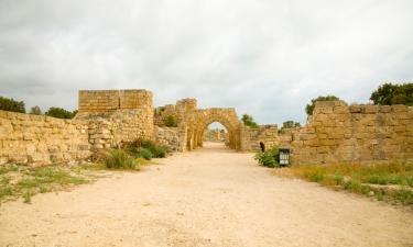 Καταφύγια σε Neʼot HaKikar