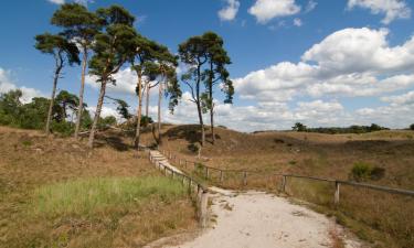 Hotels in Nunspeet