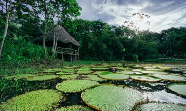 Homestays in Nauta