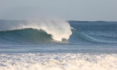 Hoteles en Playa Avellana