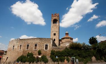 Holiday Homes in Asciano