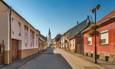 Hotels amb aparcament a Szigetvár